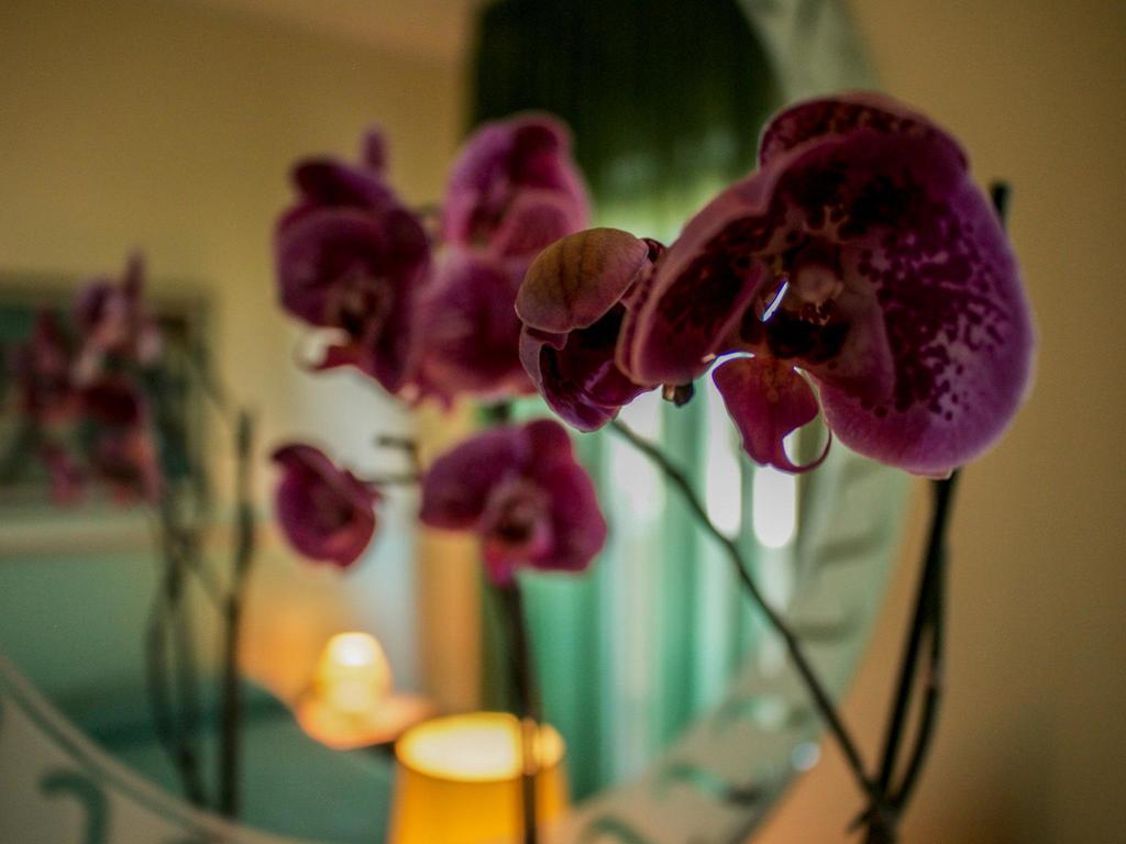 Blu Hotel San Nicola Manfredi Ngoại thất bức ảnh